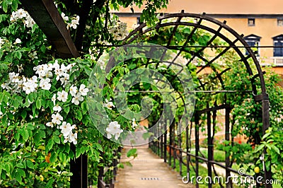 Garden arch Stock Photo