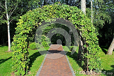 Garden arch made of intertwined oak branches Stock Photo