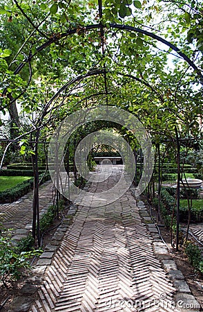 Garden arch Stock Photo