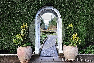 Garden arch and path Stock Photo