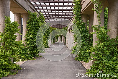 Garden archway pergola, Wroclaw Stock Photo