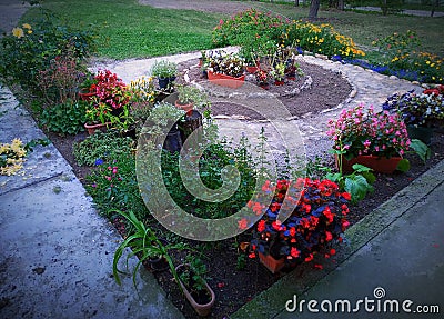 Garden arrangement with flowers Stock Photo