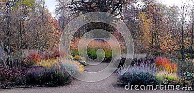Garden in Autumn colours Stock Photo
