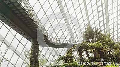 Garden By the Bay in Singapore Editorial Stock Photo