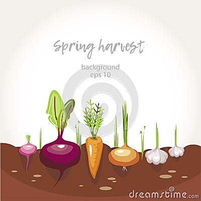 Garden bed background Vector Illustration