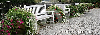 Garden benches Stock Photo