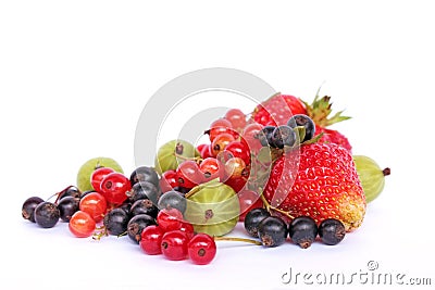 Garden berries Stock Photo
