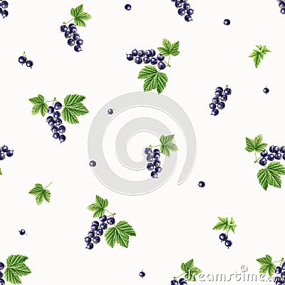 Garden blackcurrant, redcurrant watercolor seamless pattern on white background Stock Photo