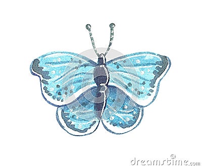 Garden blue exotic butterfly, hand drawn watercolor illustration Cartoon Illustration