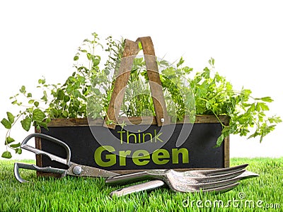 Garden box with assortment of herbs and tools Stock Photo