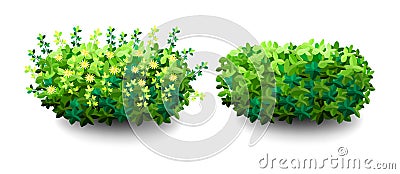 Garden bush. Green garden vegetation bushes icon Stock Photo