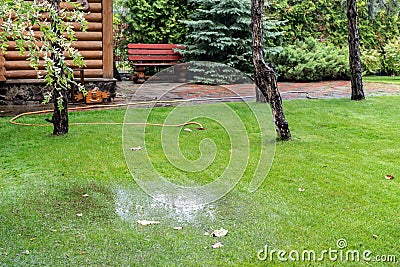 Garden bushes, tree and green grass lawn covered with water due to snow melting thaw and flash high water at spring. Natural Stock Photo