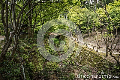 Garden canal in temple complex of Sanzen-in. Stock Photo