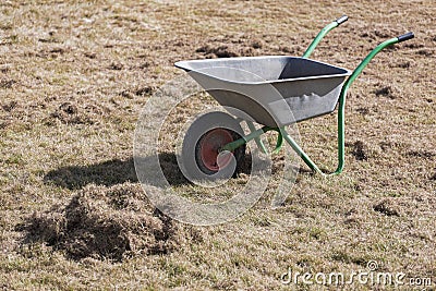 Garden cart with old grass on lawn after scarify Stock Photo