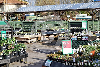 Garden center plants for sale. Editorial Stock Photo