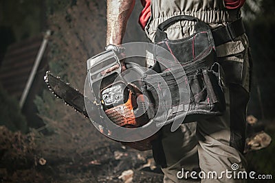 Garden Chainsaw Mechanical Saw Job Industrial Theme. Stock Photo