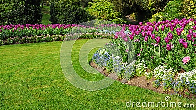 Garden with a Colourful Flowerbed and Grass Lawn Stock Photo