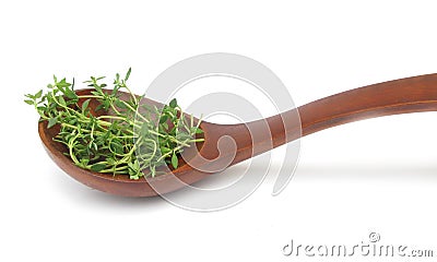 Garden cress in wooden spoon Stock Photo