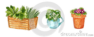 Garden decor plants clip art set Cartoon Illustration