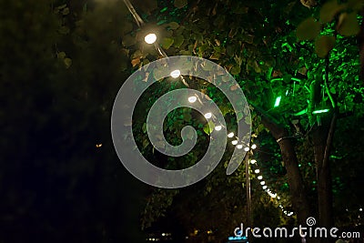 Garden decorative lamps hang in a row on tree. Stock Photo