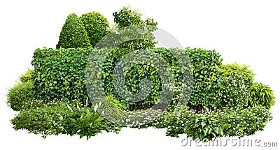 Cutout green hedge with flower bed. Landscaping Stock Photo