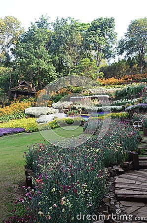 Garden at Doitung Stock Photo