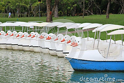 Duck Boats in garden. Stock Photo