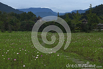 Garden at dujiangyan, path lead to nanqiao bridge Stock Photo