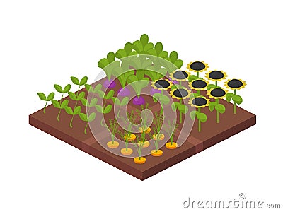 Garden eco farm land with fruit plants and vegetables. Vector Illustration