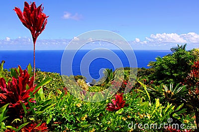 Garden Of Eden, Maui Hawaii Stock Photo