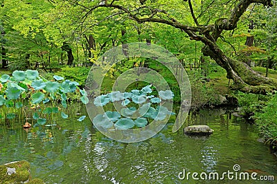 Garden at Eikan-d? Temple, a major Buddhist temple with ancient art and Zen garden Stock Photo