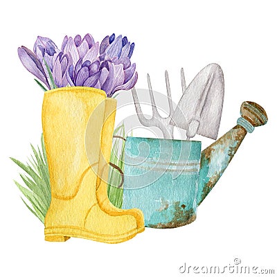 Rustic scene with flowers in boots and watering can isolated on white background Cartoon Illustration