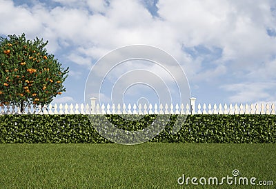 Garden with fence and hedge Stock Photo