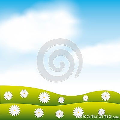 Garden flowers and grass field Vector Illustration