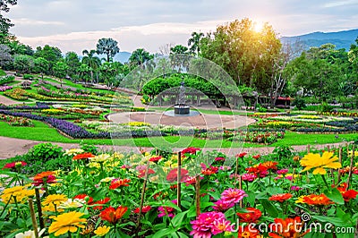 Garden flowers, Mae fah luang garden locate on Doi Tung. Stock Photo