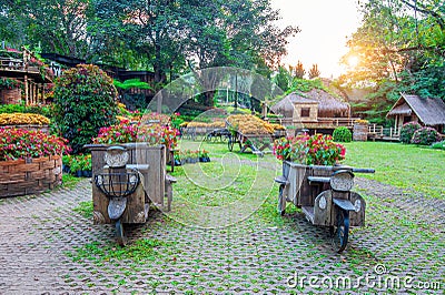 Garden flowers, Mae fah luang garden locate on Doi Tung. Stock Photo