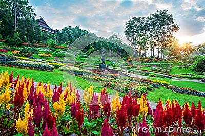 Garden flowers, Mae fah luang garden locate on Doi Tung. Editorial Stock Photo