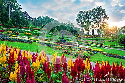 Garden flowers, Mae fah luang garden locate on Doi Tung in thailand. Stock Photo