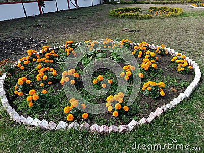 Garden of flowers in a small circle Stock Photo