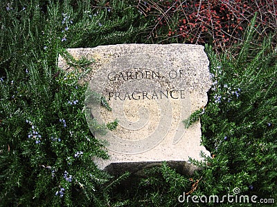 Garden of fragnance Stock Photo