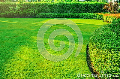 Garden with fresh green grass both shrub and flower front lawn background Stock Photo