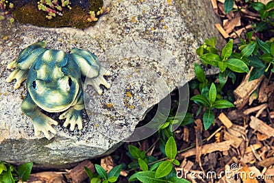 Garden frog decorating rock garden with succulents Stock Photo