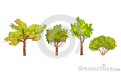 Garden Fruit Trees and Berry Bushes Vector Set Vector Illustration