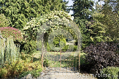 Garden gate with beautiful flowers Stock Photo