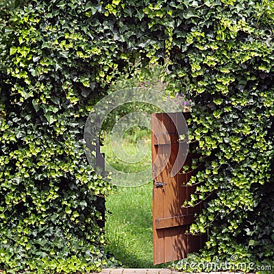 Garden gate with ivy archway Stock Photo