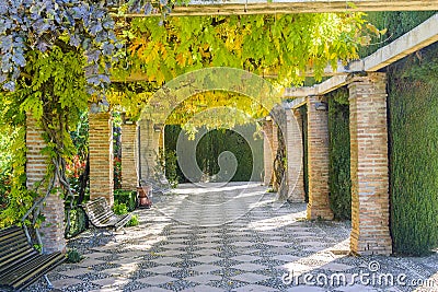 Garden of Generalife, Granada Andalusia province, Spain Stock Photo