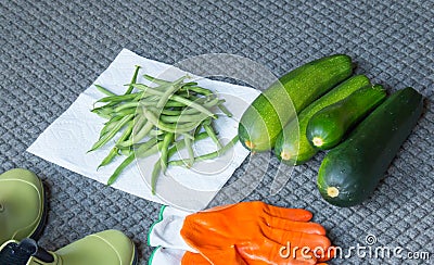 Garden Harvest Stock Photo