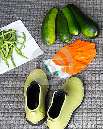 Garden Harvest Stock Photo