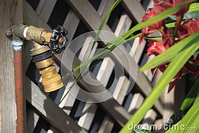 Garden Hose Bib Stock Photo