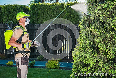 Garden Insecticide by Spraying Stock Photo